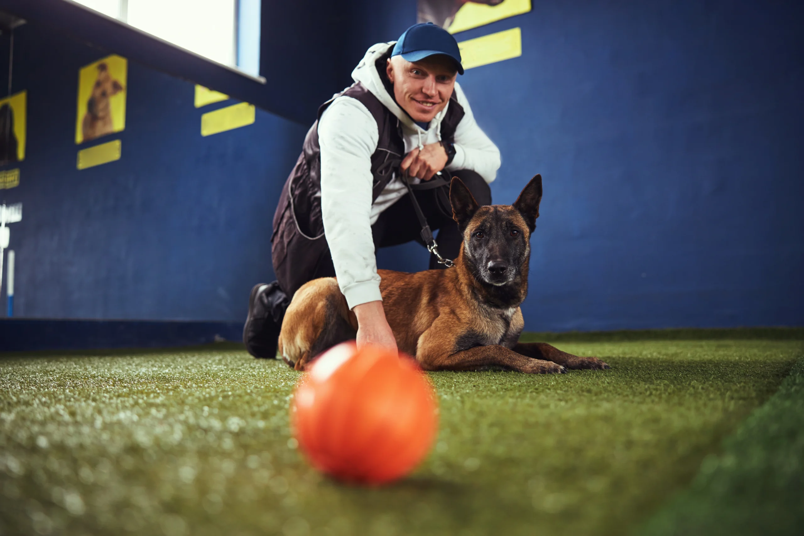 Dog Trainer Insurance Alabama