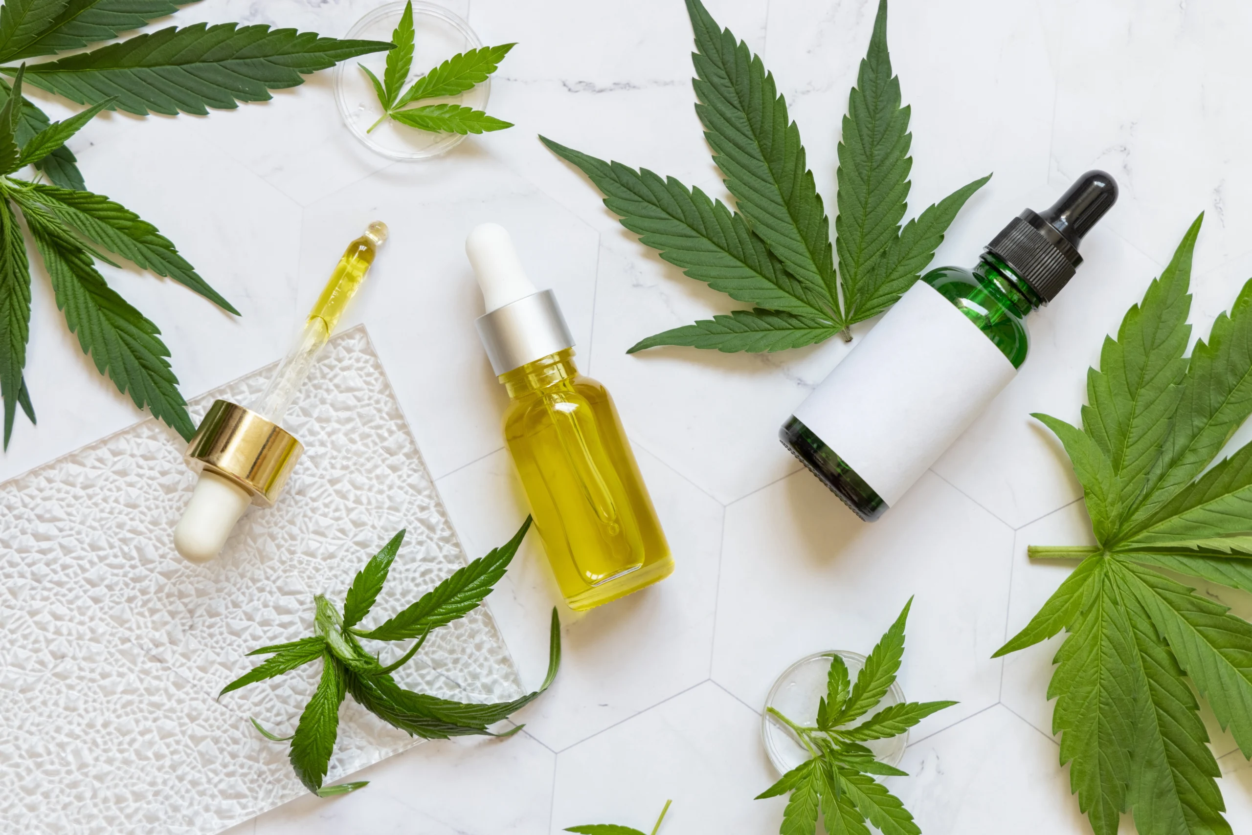 CBD Insurance Alabama