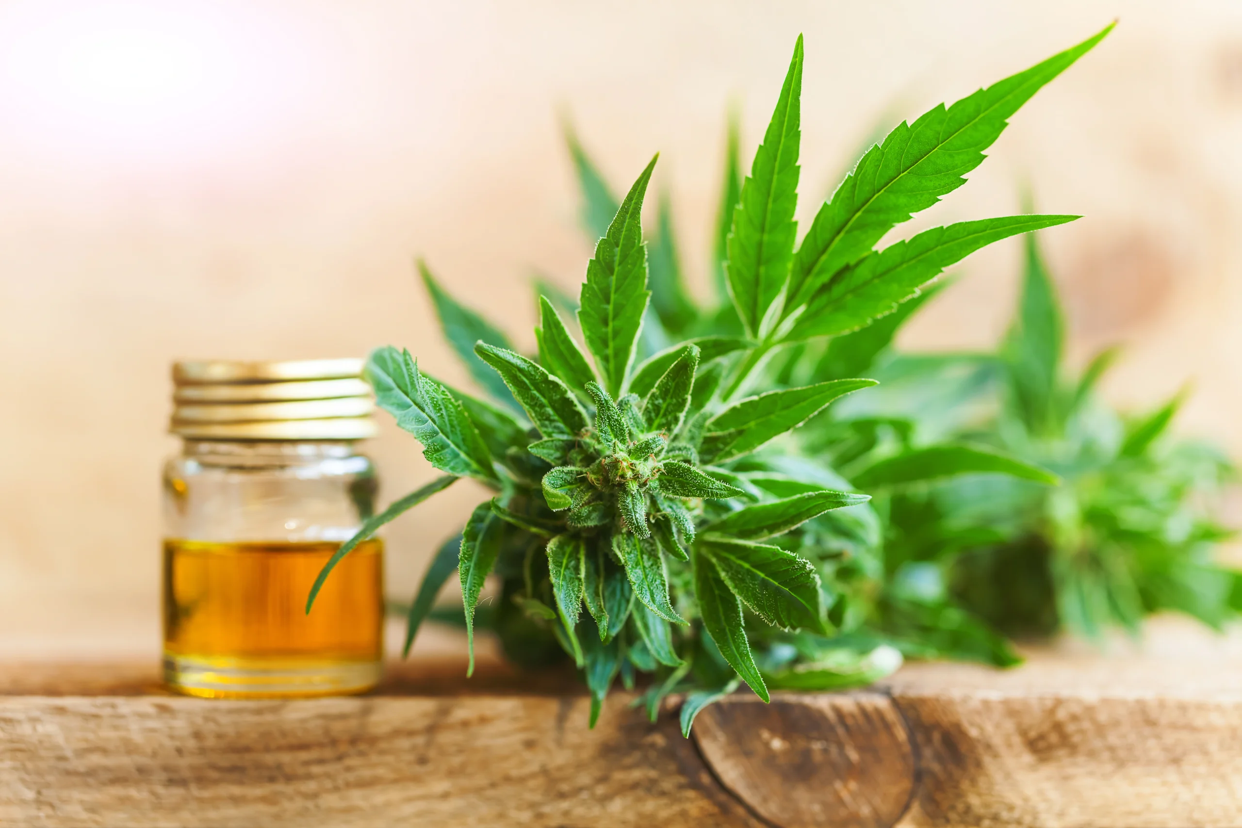 CBD Insurance Alabama