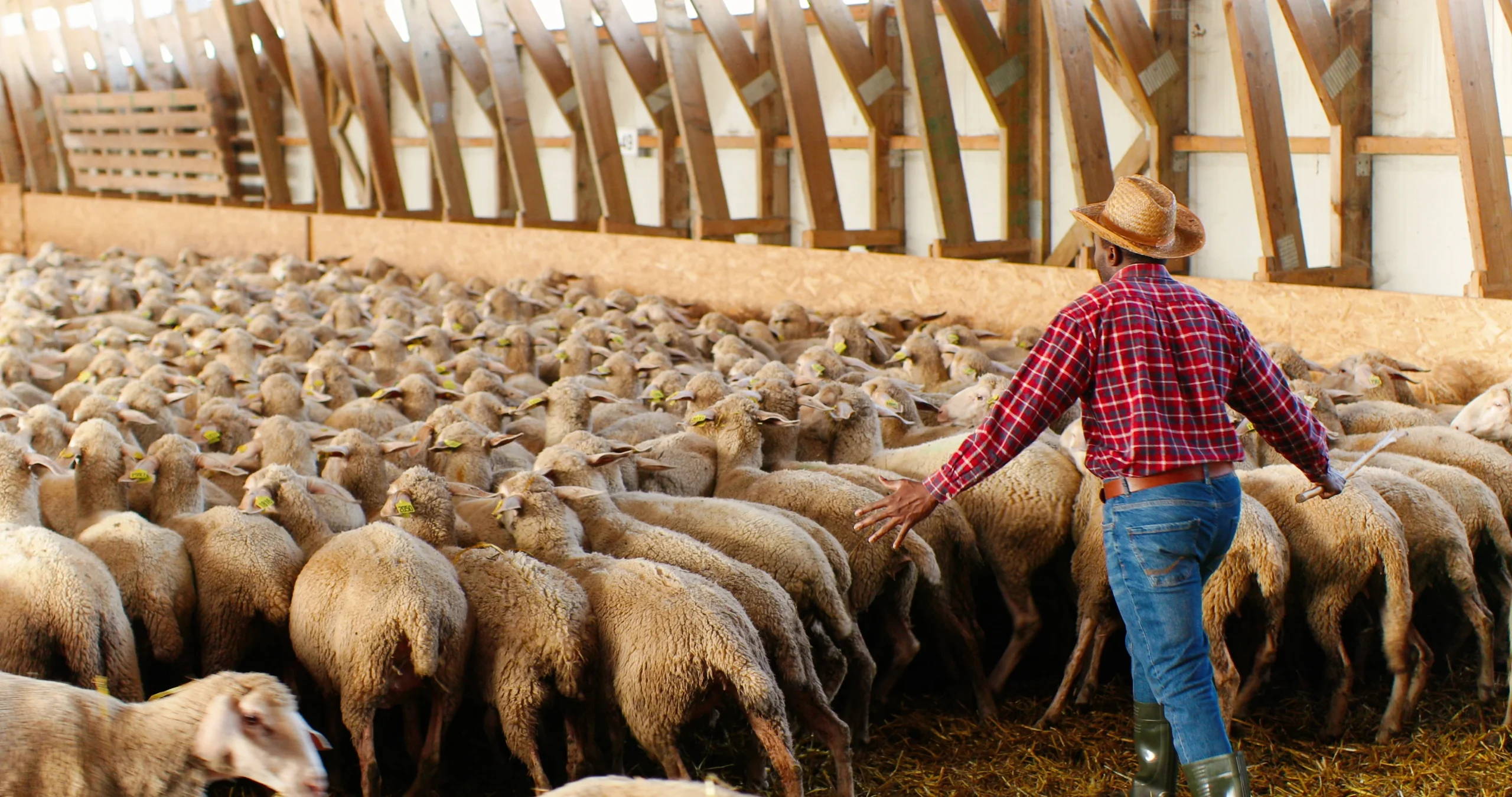 Farm & Ranch Insurance Alabama