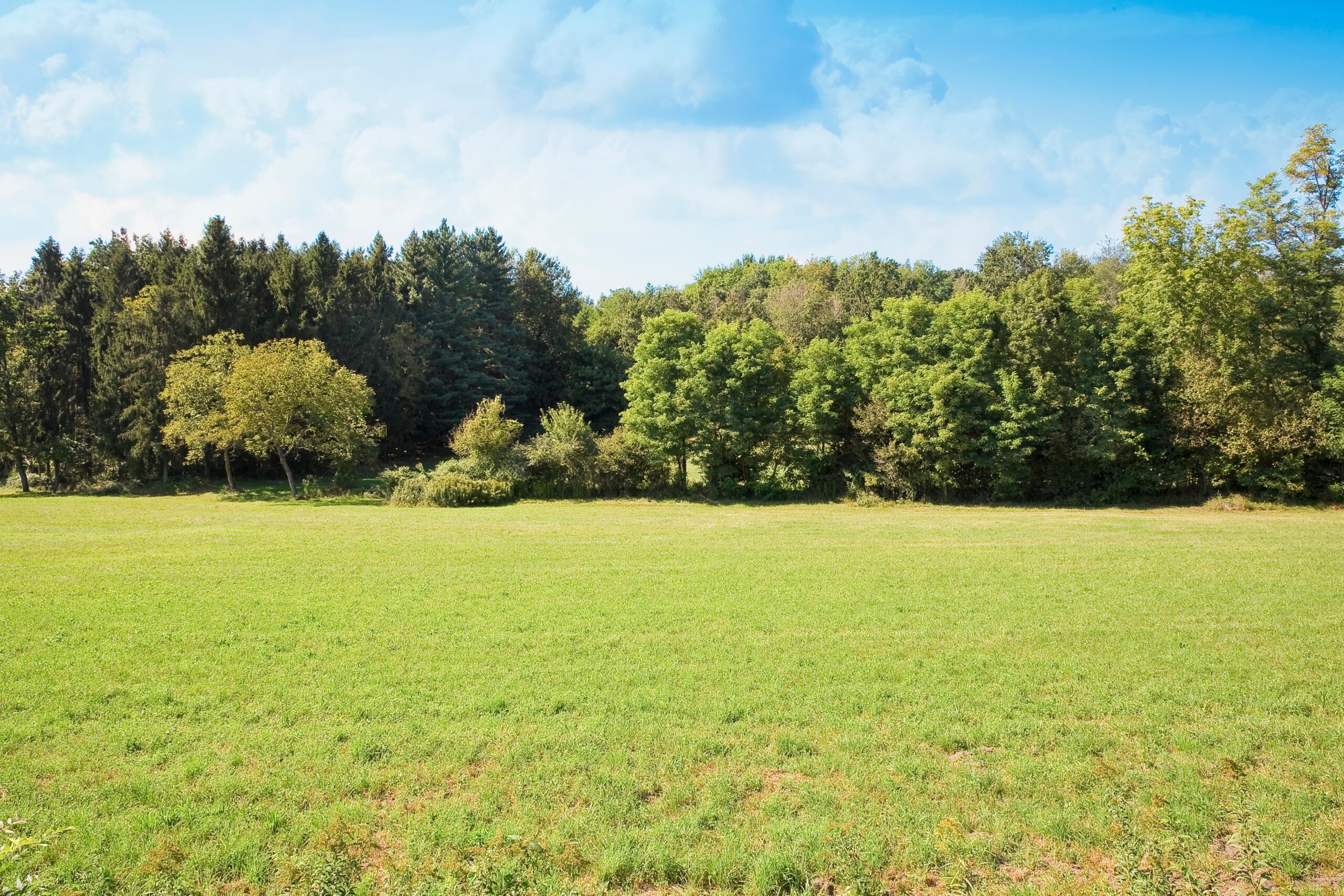 Land Insurance Alabama