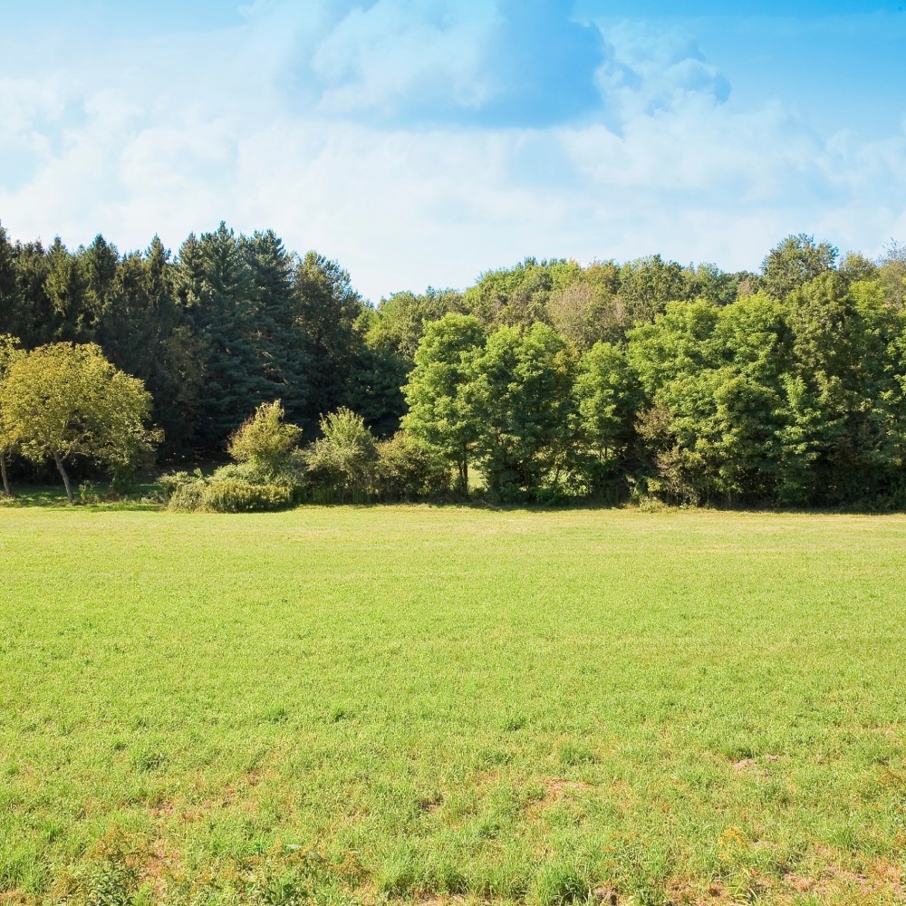 Land Insurance Alabama